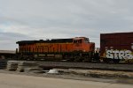 BNSF 8191 Roster shot